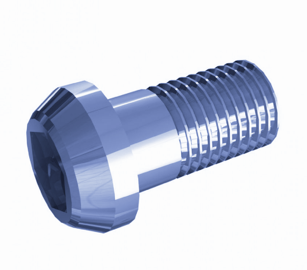 M24x45 mm Hexagon socket screw